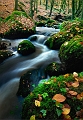 Paysage10_11_10 n02